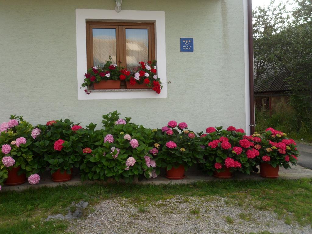 Vacation Home Kuca Za Odmor Krasno Polje Camera foto